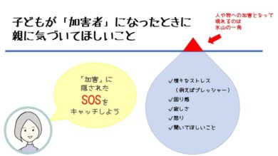 子どもがいじめの加害者と言われたら 親に気付いてほしいsos 東京 青山の心理カウンセリングルーム はこにわサロン東京