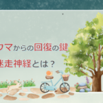トラウマを癒す鍵「腹側迷走神経」とは?回復のための5つのヒント